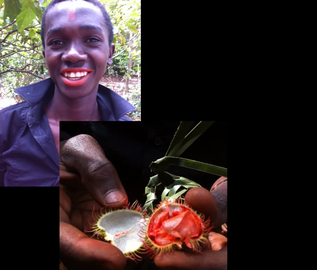Zanzibar spice farm, where Bixa Beauty founder Deida Massey first saw the achiote seed